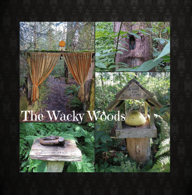 Image pictures the locations Evie mentions within The Wacky Woods, surrounded by a black border featuring white text that says 'The Wacky Woods'